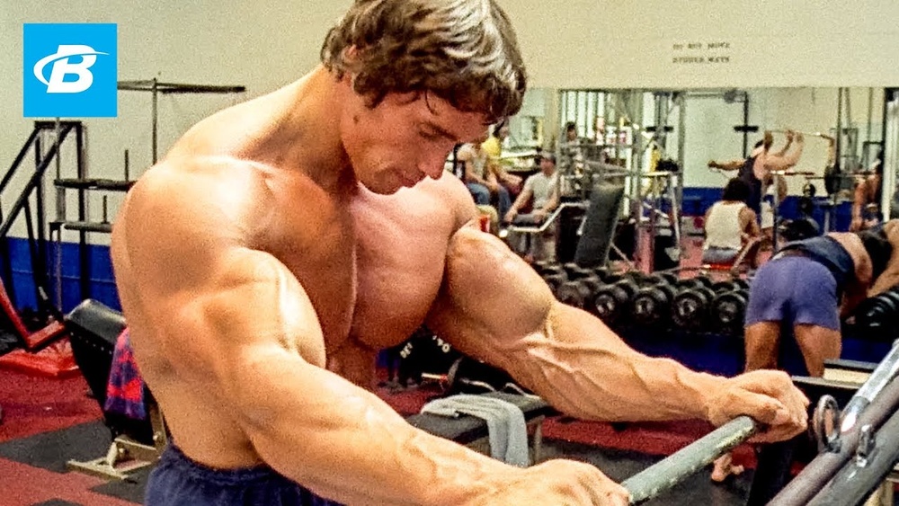 Arnold Schwarzenegger Workout
