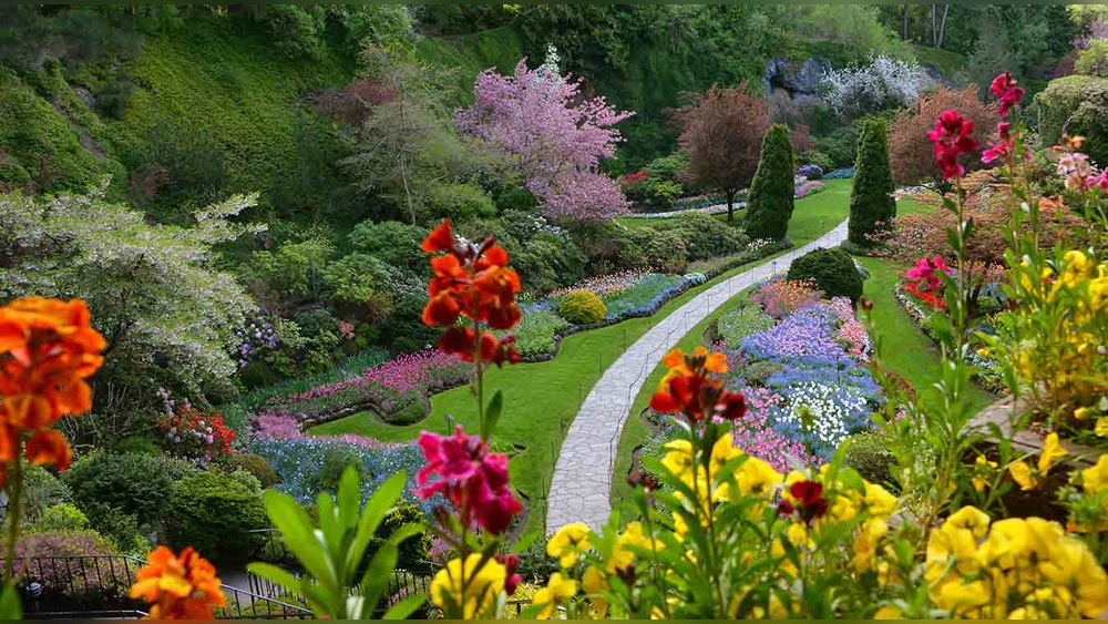 Butchart Gardens Travel Guide: Ultimate Tips for an Unforgettable Visit