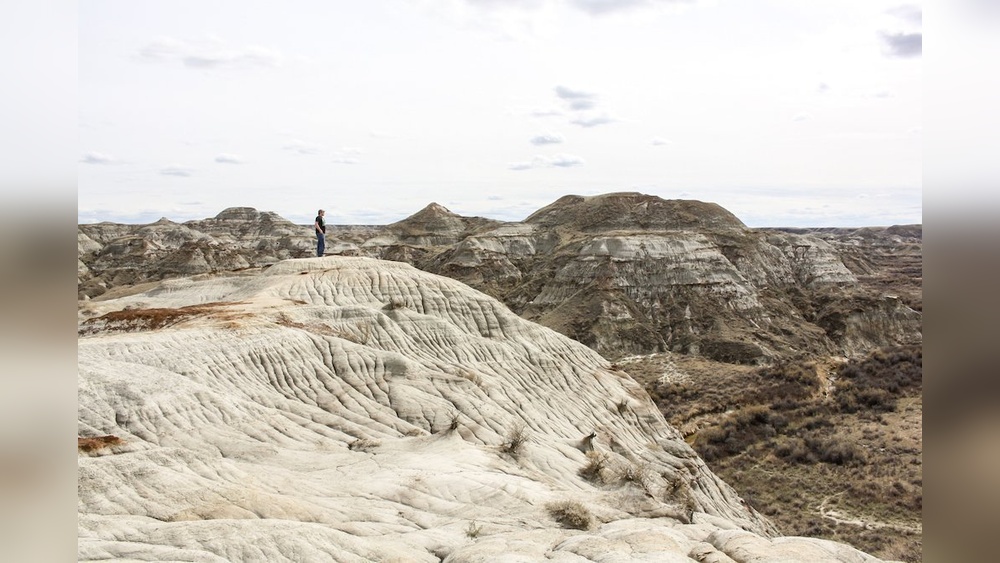 Dinosaur Provincial Park Travel Guide: Ultimate Tips for Adventure