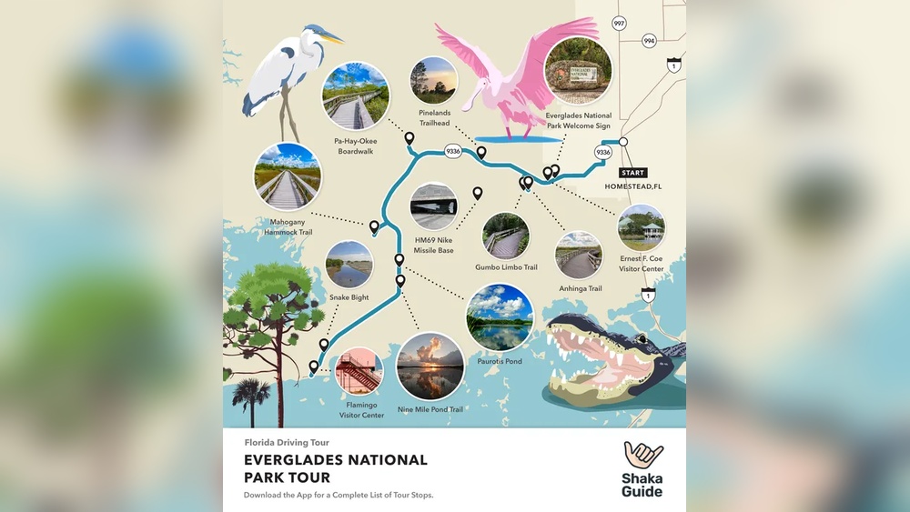 Everglades National Park Travel Guide: Ultimate Tips for Adventure