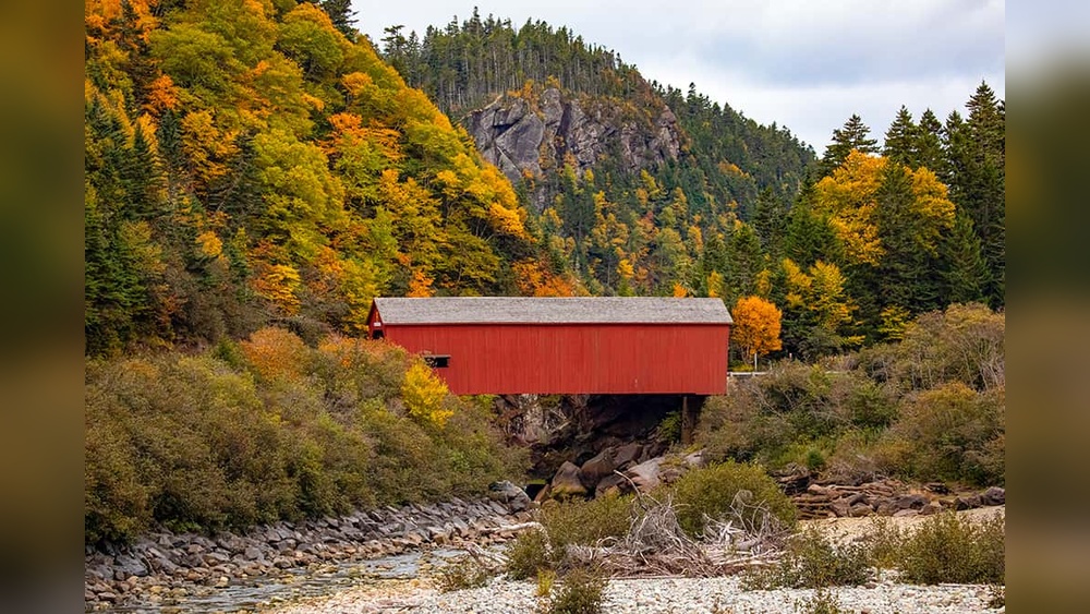 Fundy National Park Travel Guide: Ultimate Tips for Adventure