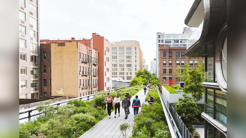 High Line New York Travel Guide: Ultimate Tips for an Unforgettable Visit