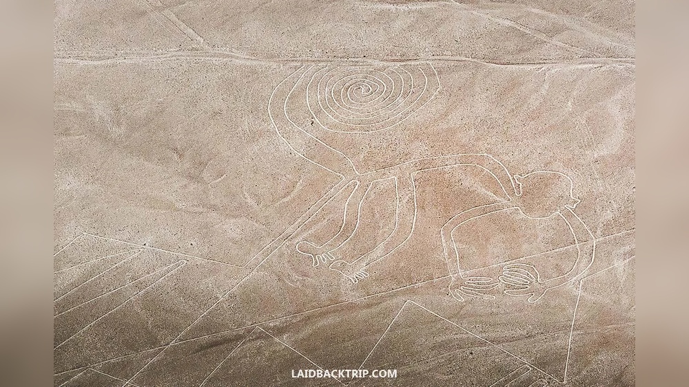 Nazca Lines Travel Guide: Ultimate Tips for an Unforgettable Visit