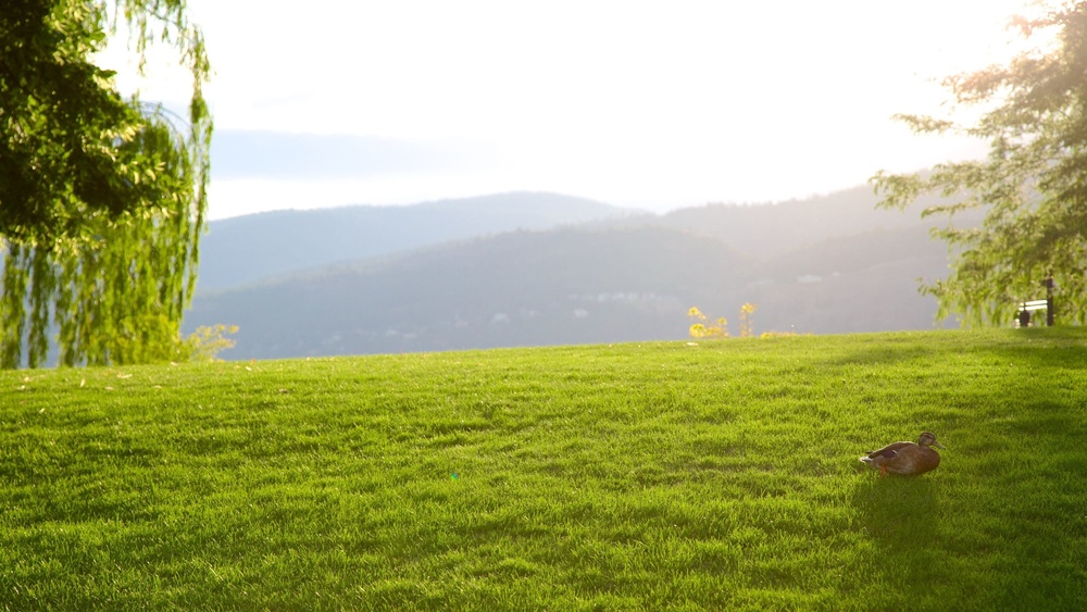 Okanagan Valley Travel Guide: Ultimate Tips for Wine & Adventure