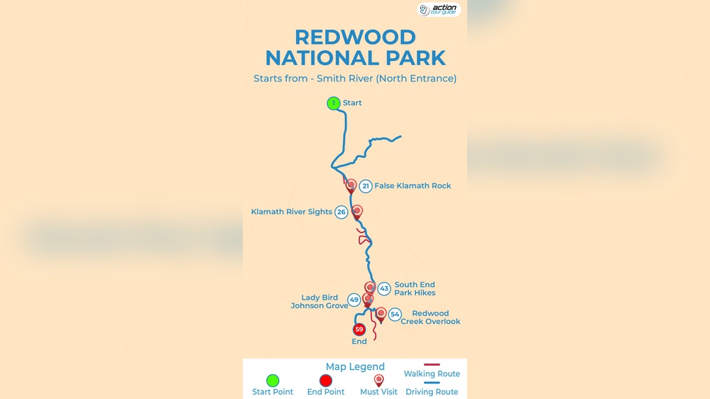 Redwood National Park Travel Guide: Ultimate Tips for Epic Adventures