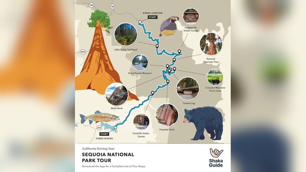 Sequoia National Park Travel Guide: Ultimate Tips & Top Attractions