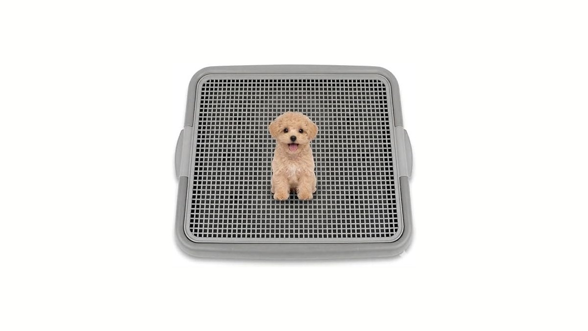 UPIT Puppy Potty Tray